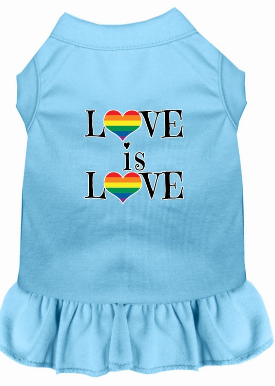 Love is Love Screen Print Dog Dress Baby Blue 4X